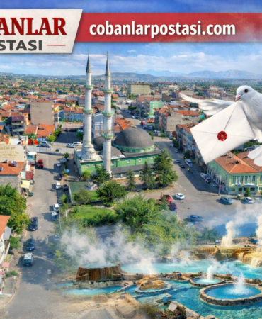 ChatGPT Image 14 Mar 2026 17_20_07